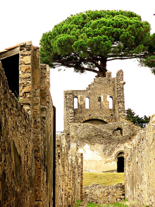 Pompei, Italy, ruins of buildings and a tree