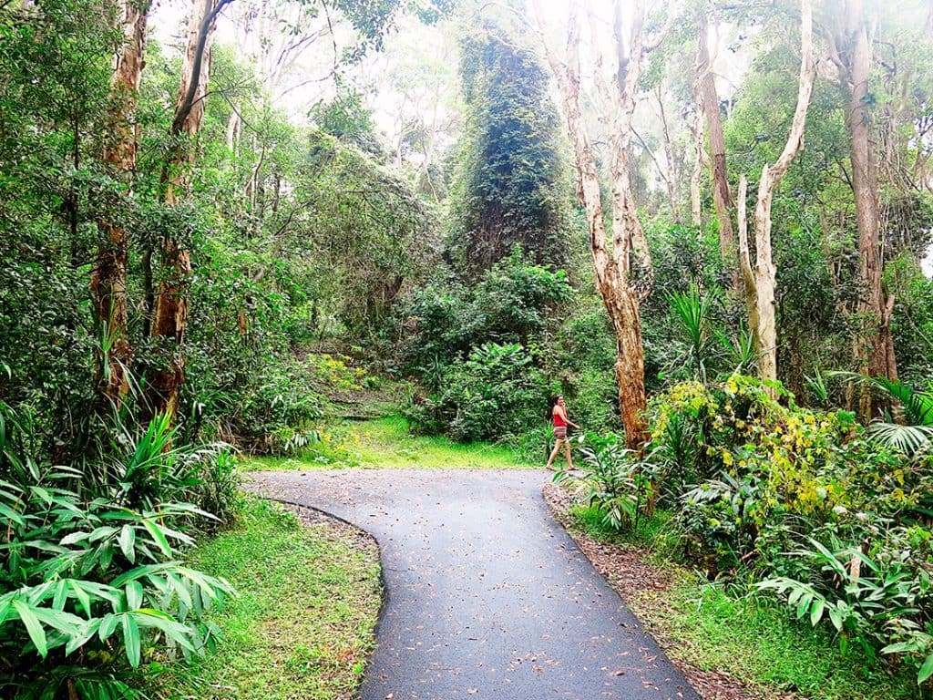 What to do in Coffs Harbour Korora Headland Walk