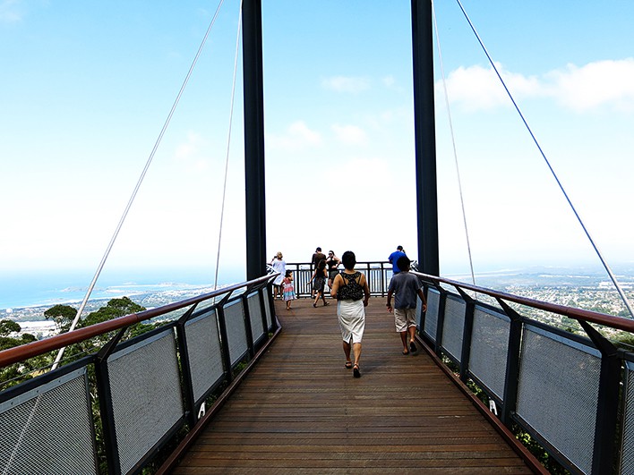 Coffs Harbour Tourist Attrations - Sealy Lookout