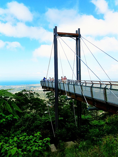 Places to visit in Coffs Harbour - Sealy Lookout