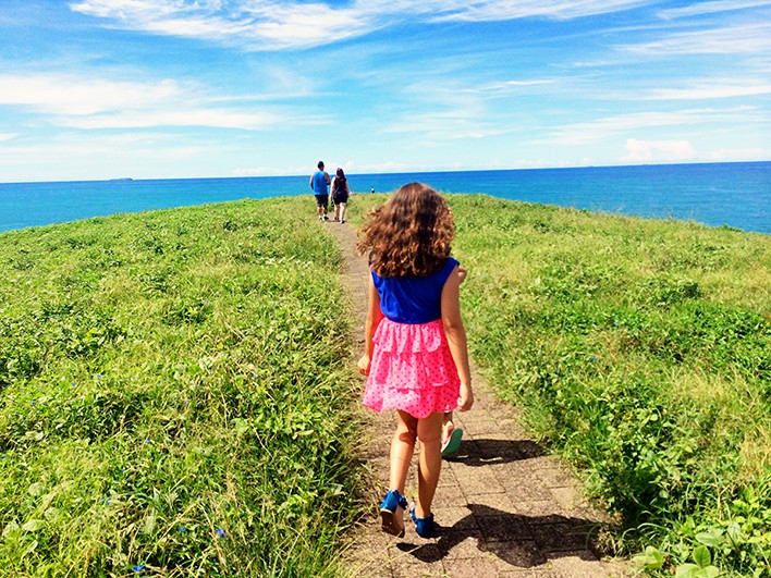 Things to do in Coffs Harbour - Mutton Bird Island