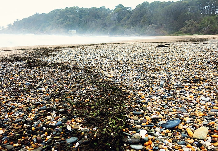 What to do in Coffs Harbour - Charlesworth Bay Beach