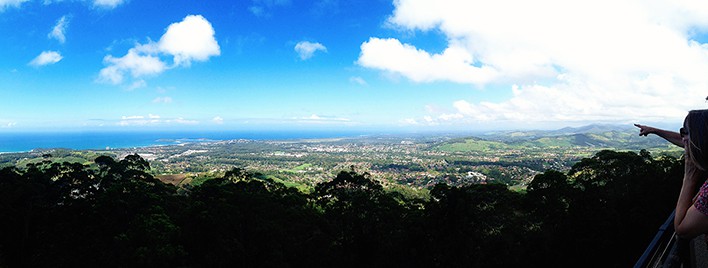 Things to do in Coffs Harbour - Sealy Lookout