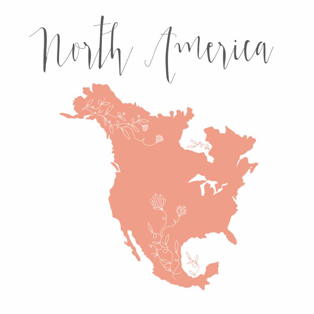 North America map