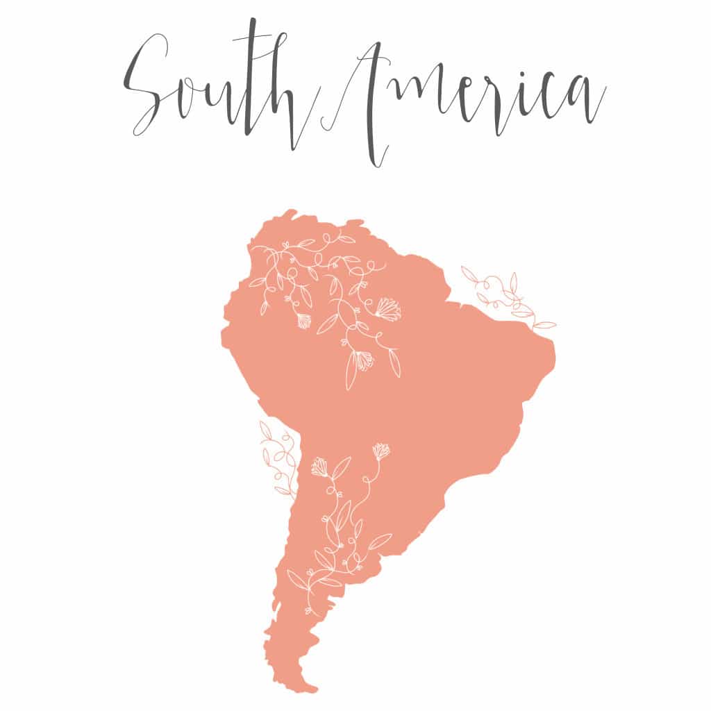 South America Map
