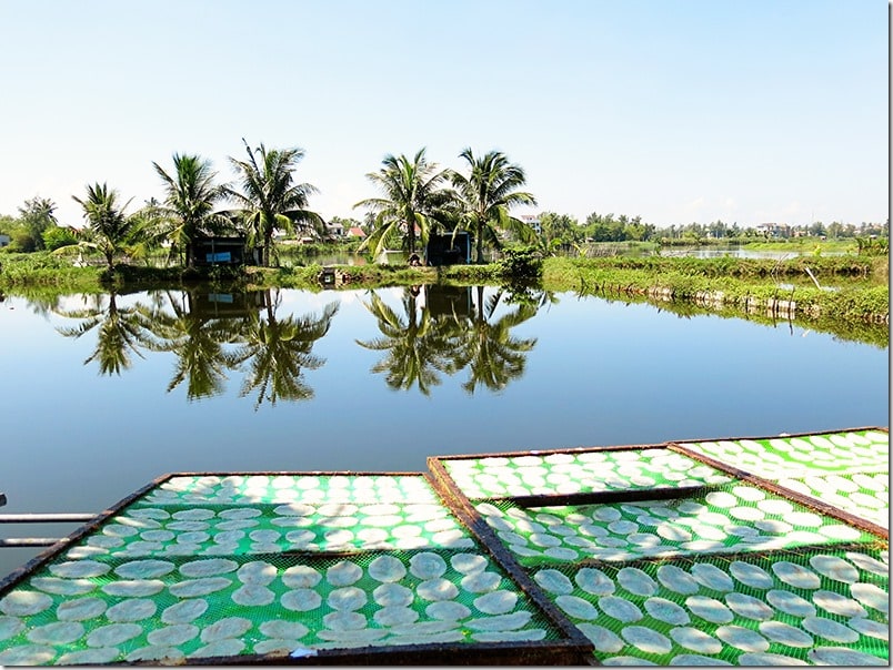 Hoi An Fishing and Coconut Tree Villages