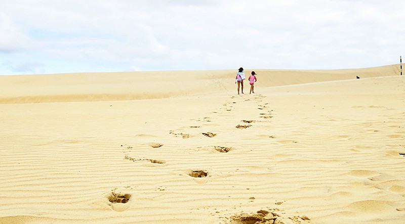 What To See On Your 75 Mile Beach Drive On Fraser Island, Queensland