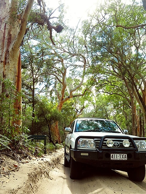 Car in the sandy road of Fraser Island, Australia, Queensland