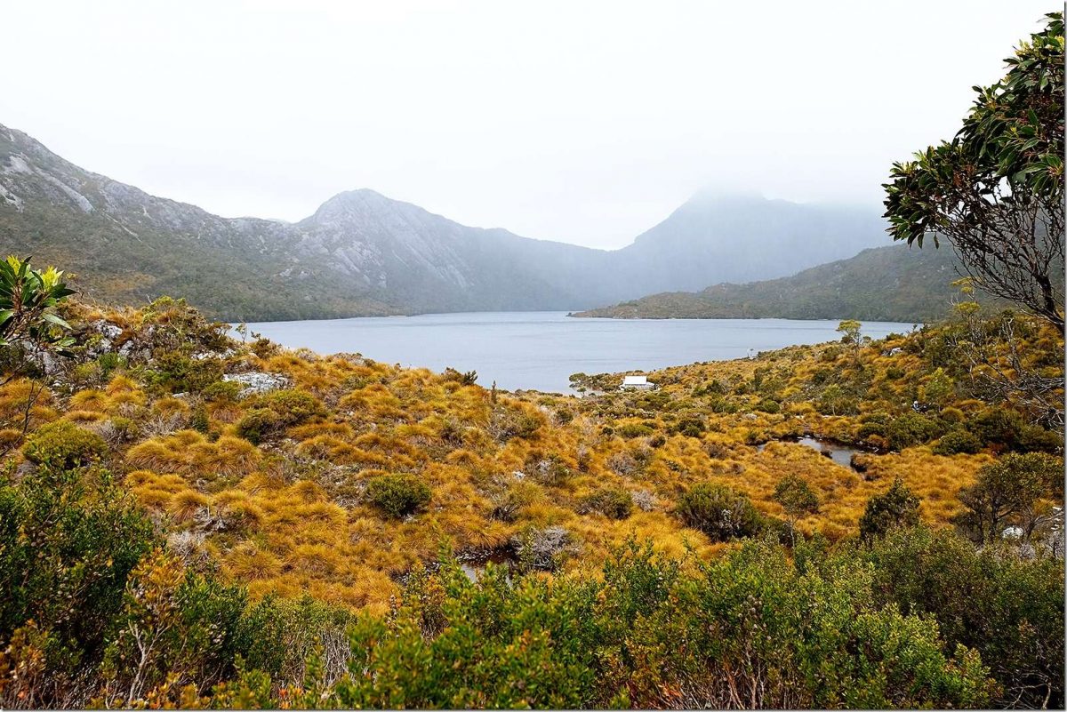 Cradle Mountain Hiking - Things to do in Cradle Mountain