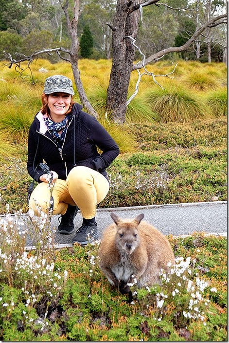 Cradle-Mountain-Wildlife