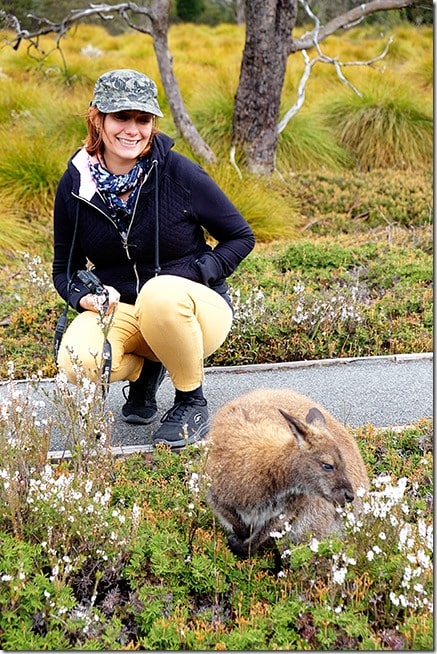 Enchanted Walk - Cradle Mountain Things to do