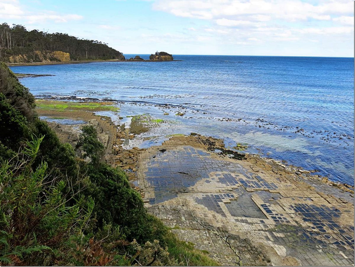 Tesselated-Pavement-Port-Arthur-Tasmania