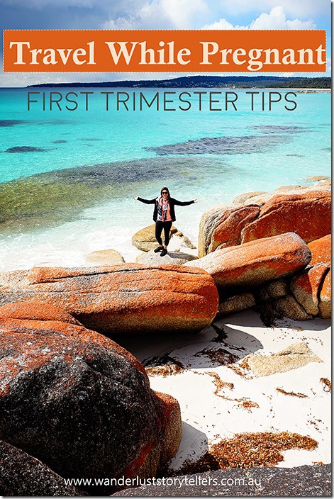 travel first trimester