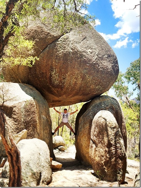 girraween-national-park-3