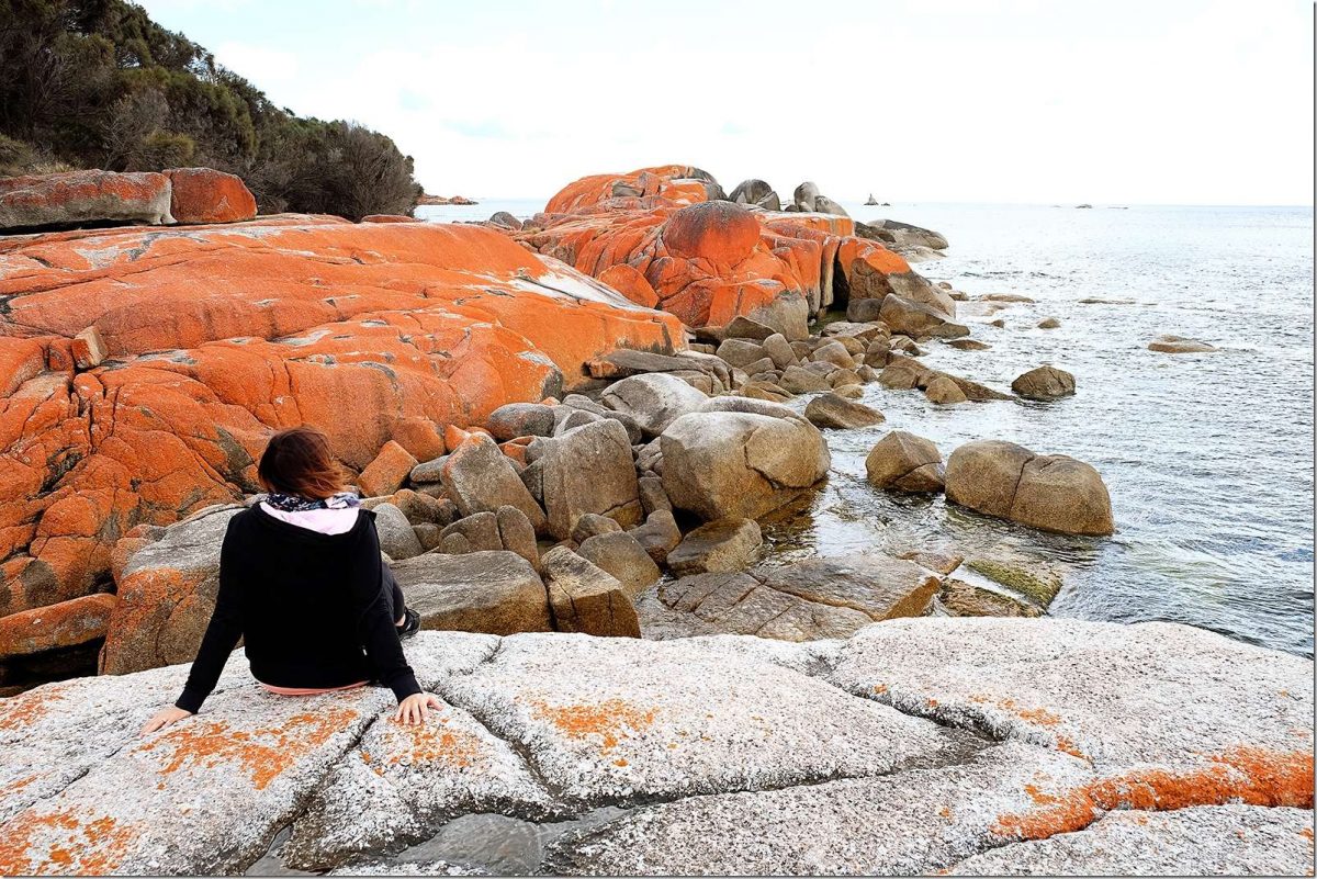 Bay of Fires Tasmania - Orange Rocks Australia