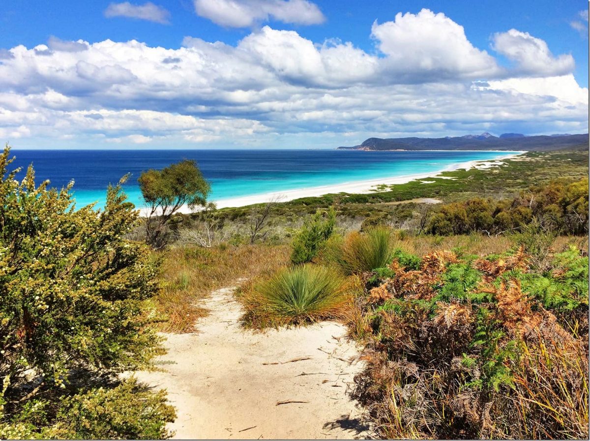 Friendly-Beaches-Freycinet-National-Park-Wanderlust-Storytellers