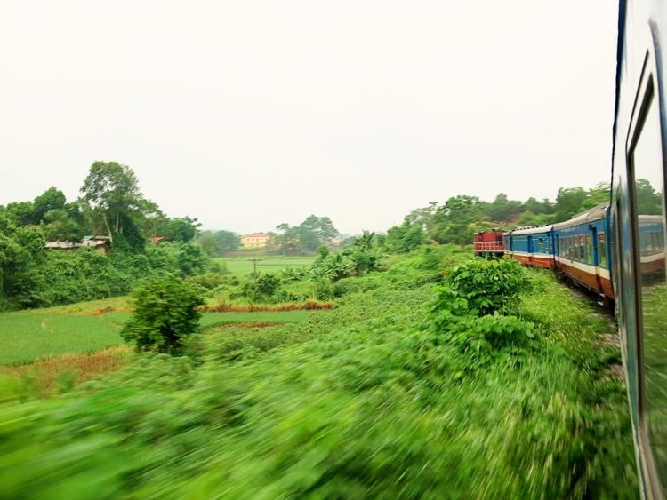 overnight train to sapa from Hanoi, view from the windo of the moving train, green bushes and trees on the side