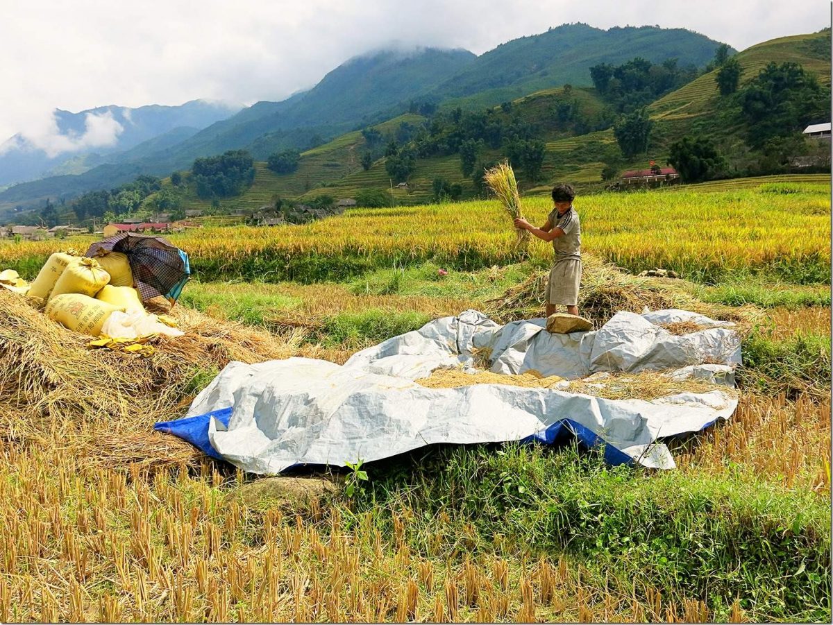 Sapa Vietnam Wanderlust Storytellers