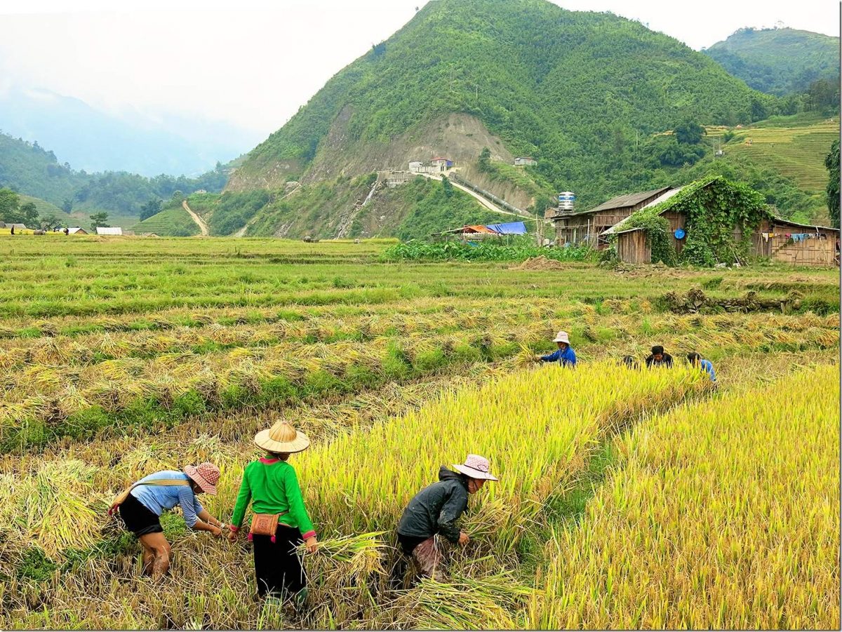 Sapa Vietnam Wanderlust Storytellers