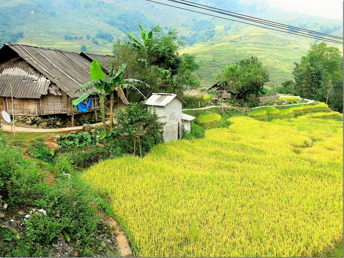 Sapa Vietnam Wanderlust Storytellers