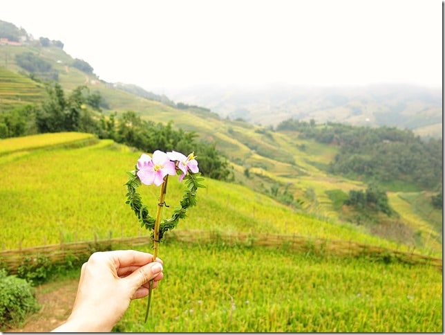 Sapa Vietnam Wanderlust Storytellers