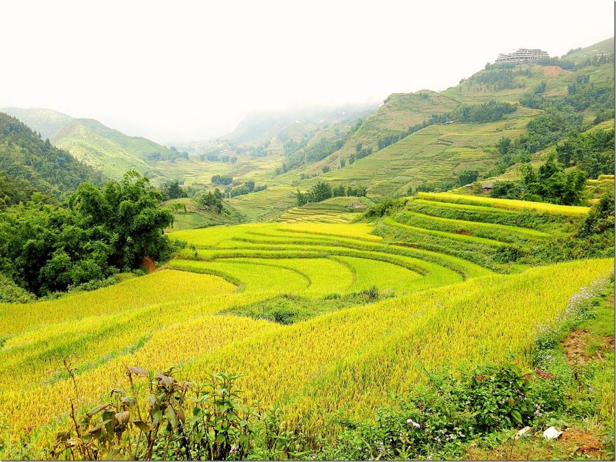 Sapa Vietnam Wanderlust Storytellers