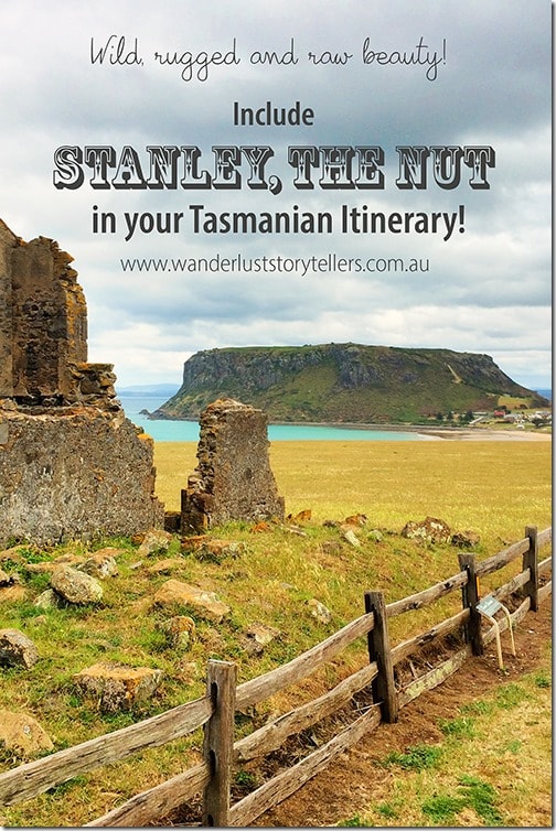 Stanley the Nut Tasmania