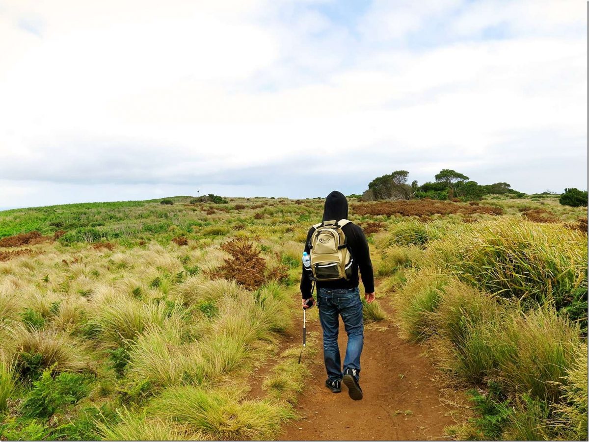 Stanley The Nut, Tasmania - Stanley Nut Walk