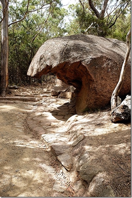 Walk-up-to-Wineglass-Bay-Freycinet-National-Park-Wanderlust-Storytellers