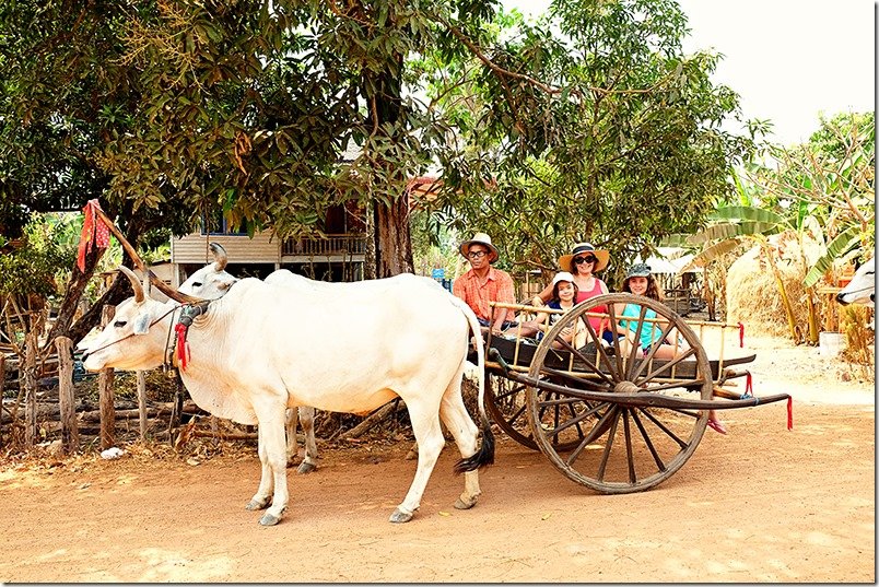 Cambodia Tours: Ox Cart Ride Family Shot