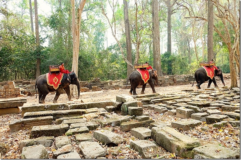 Elephants-at-Angkor-Wat