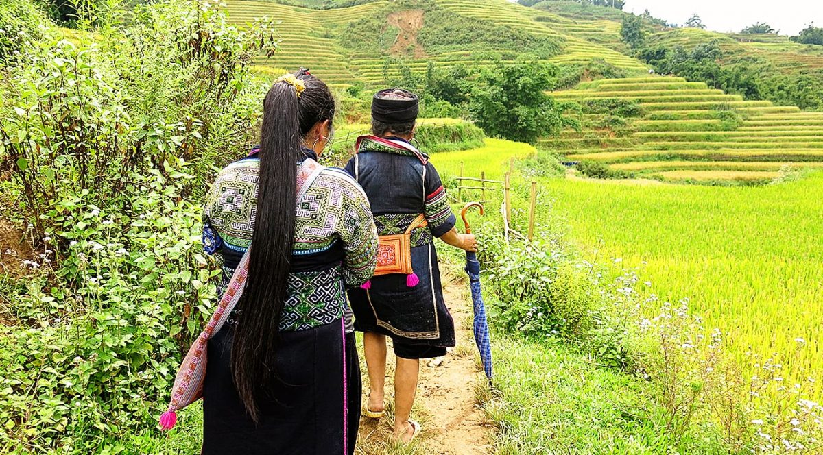 Sapa Hike Wanderlust Storytellers