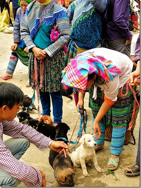 Bac Ha market in Sapa, Vietnam 