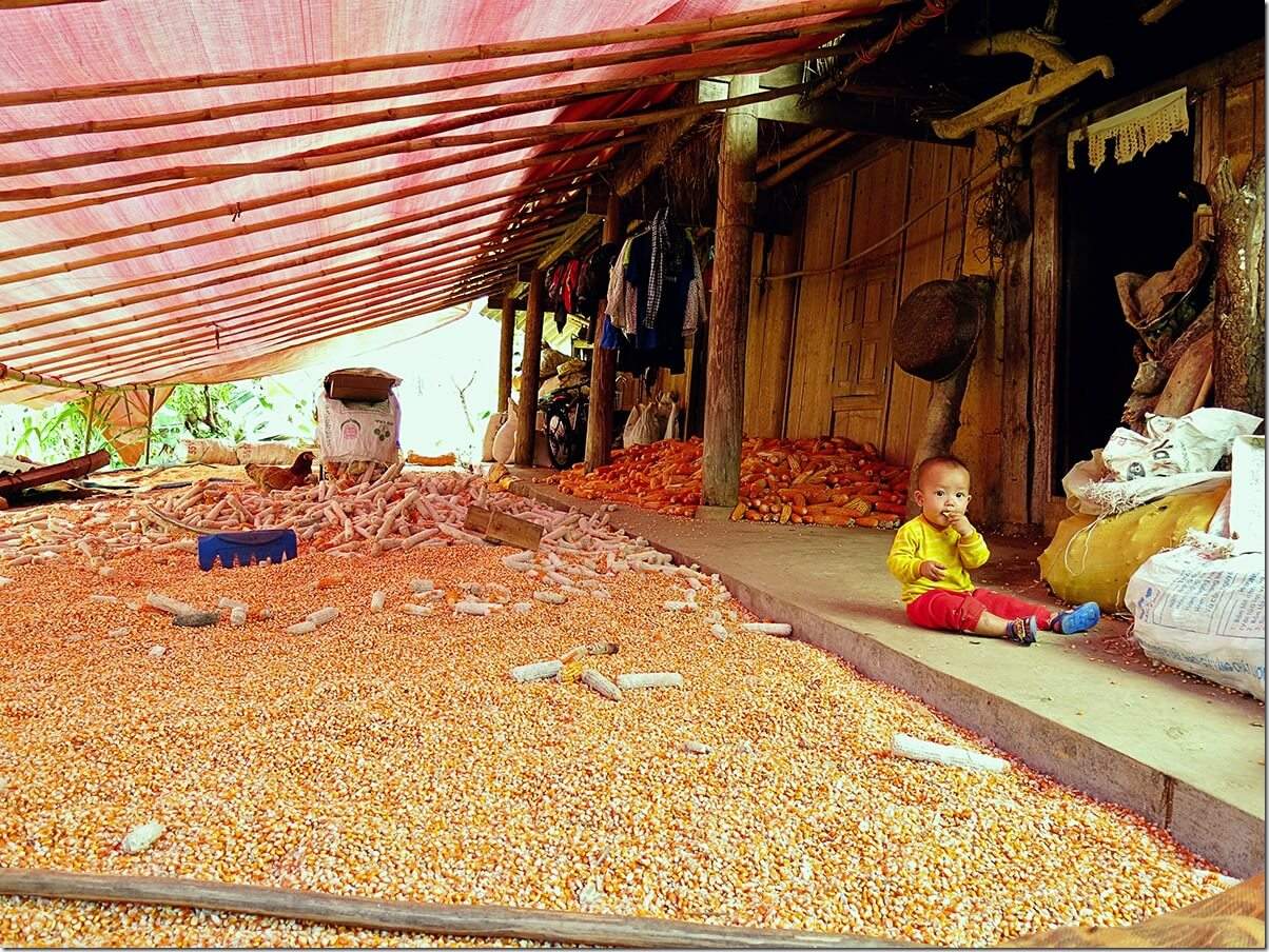 Hmong corn village - Ban Pho