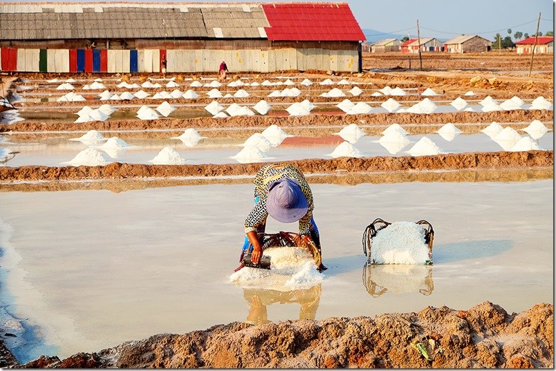 Kampot Salt Fields