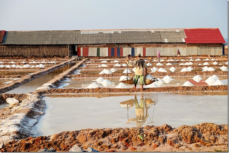 Salt Fields of Kampot Province