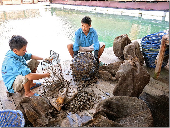 Vietnam Pearl Farm at Halong Bay 