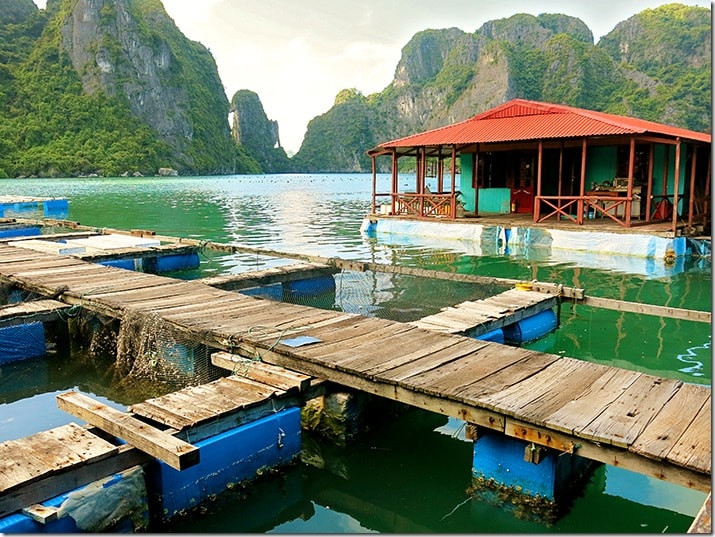 Visit Halong Bay Pearl Farm