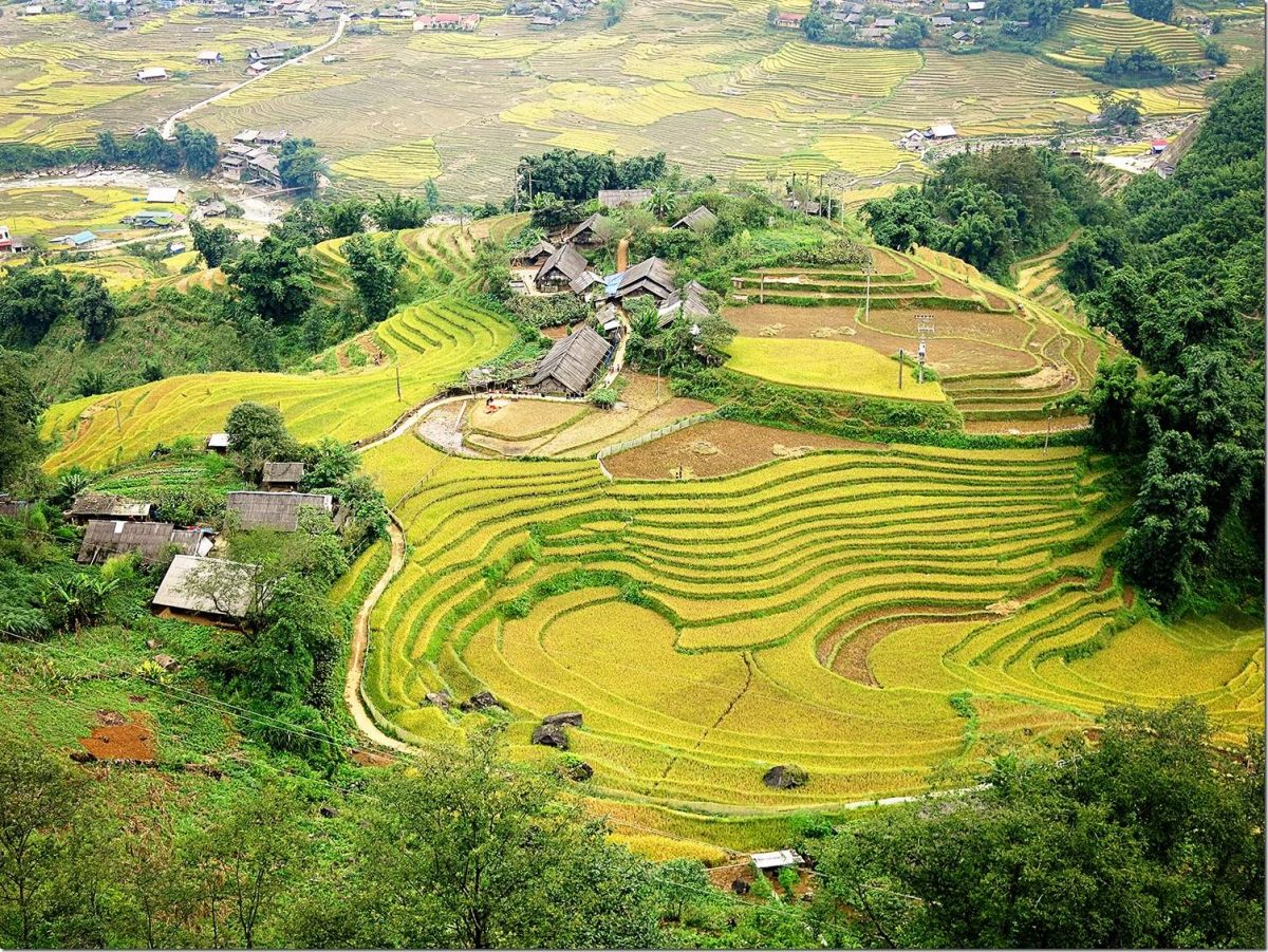 Sapa Muong Hoa Valley Hiking