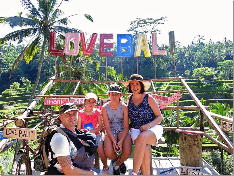 Bali rice terraces