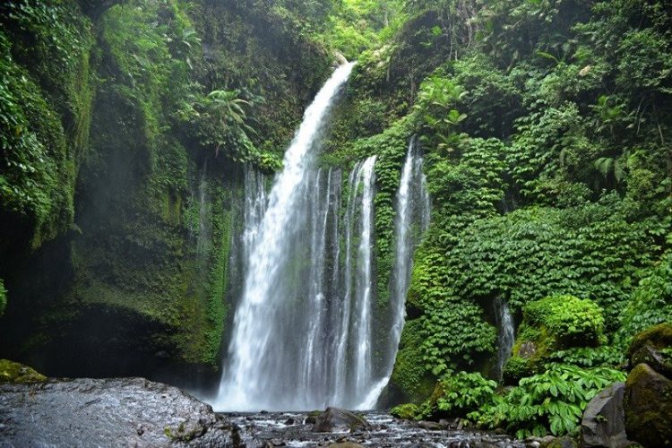 Lombok Attractions Tiu Kelep or Sendang Gile Waterfalls