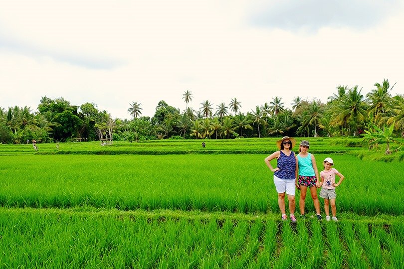 ubud rice terrace walk