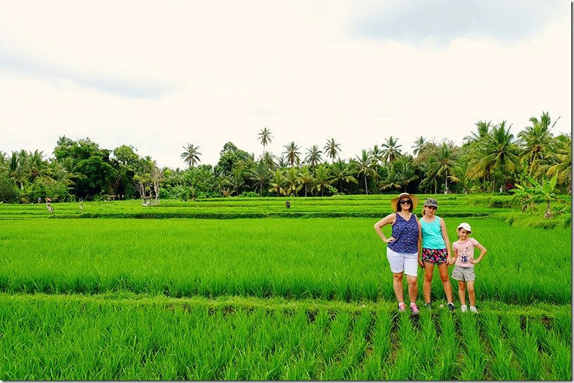 Ubud Rice Field Walk