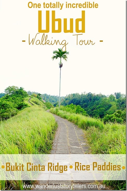 Ubud Walking Tour | Rice Fields Walk | Ridge Walk