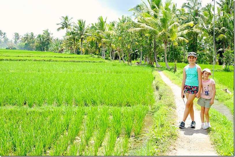 Jalan Ubud Walks in Bali