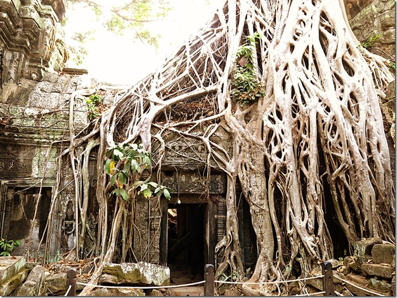 Ta Prohm with Kids 2