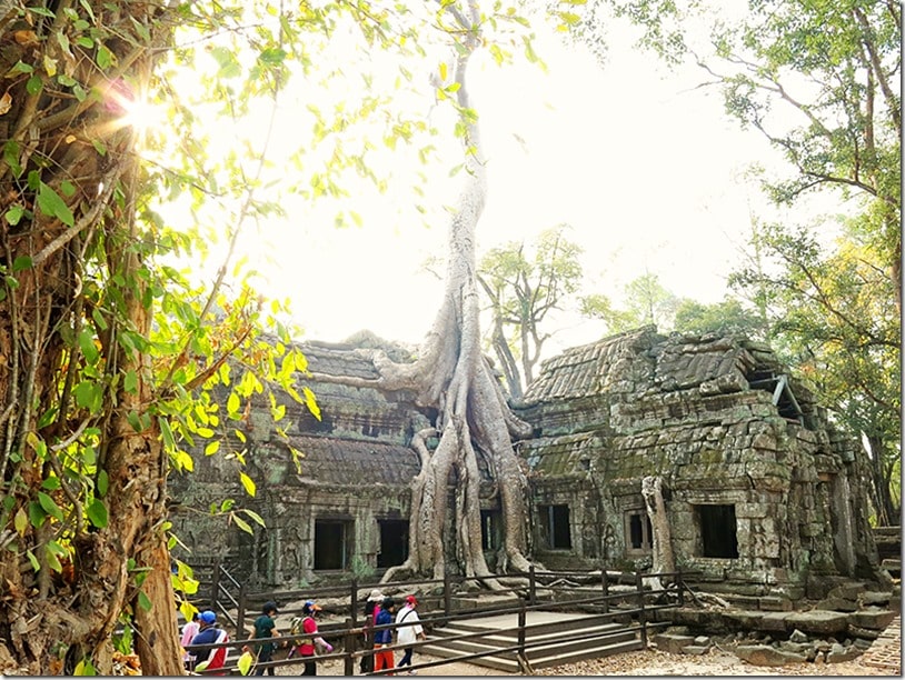 Ta Prohm with Kids 4