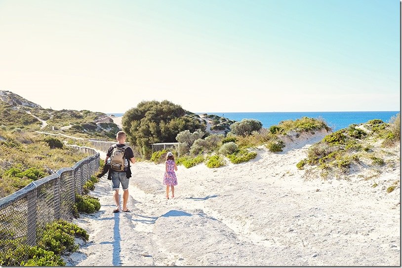One of the best Islands to visit in Australia What to do at Rottnest Island!