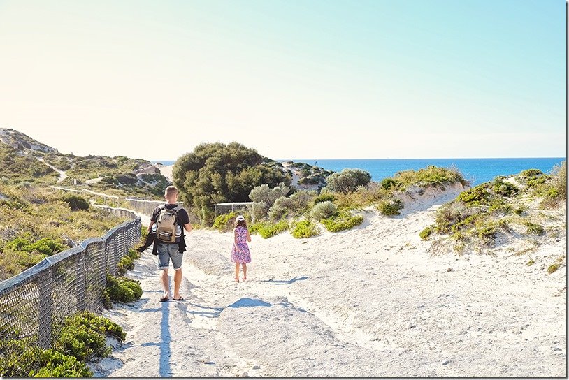 What to do at Rottnest Island