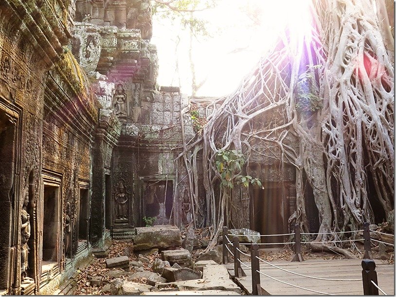 angkor wat ta prohm